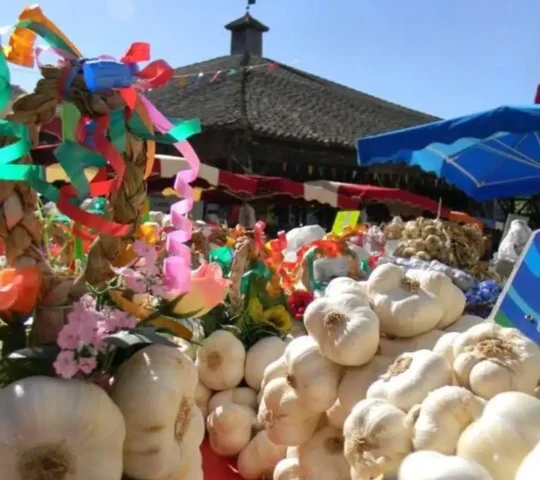 Ail de Lomagne en Fête 2027 – Beaumont-de-Lomagne, France Ail de Lomagne en Fête 2027 – Beaumont-de-Lomagne, France
